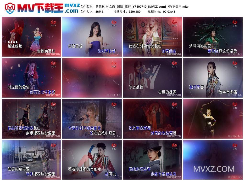 蔡依林-对立面_国语_流行_YF100710